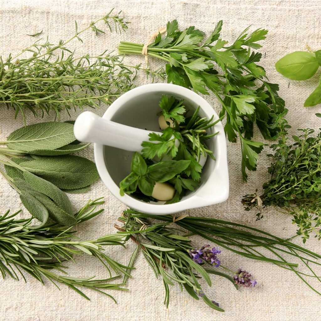 Organic Herb Farming