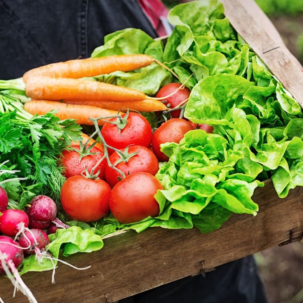 Organic produce in Tirunelveli