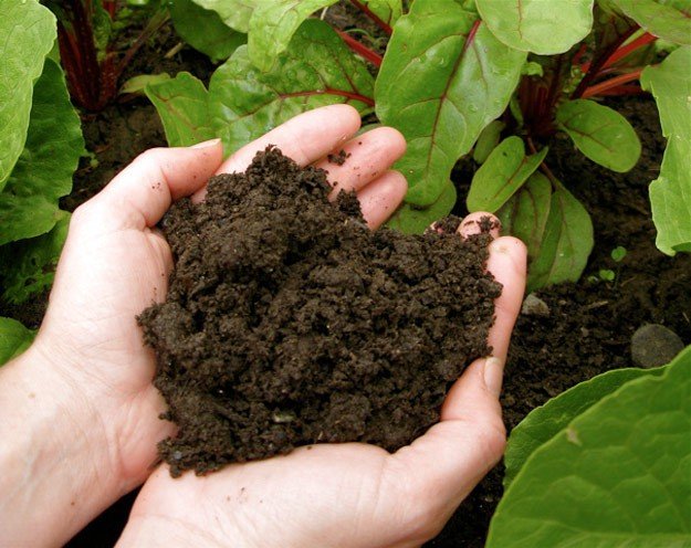 Soil health improvement