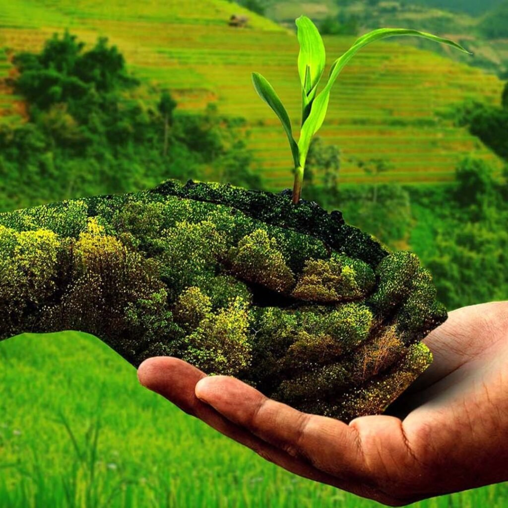 Natural farming techniques at Elite Organic Farms & Garden in Tirunelveli