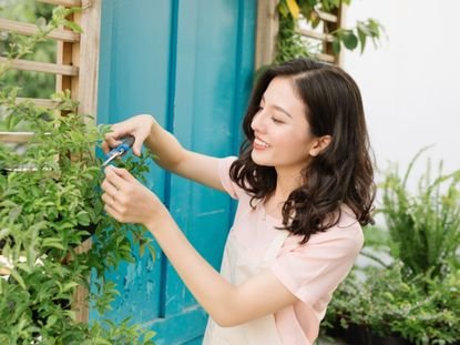 Advanced Gardening Techniques in Tirunelveli - Elite Organic Farms & garden